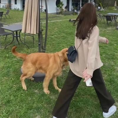 出手吧!女生